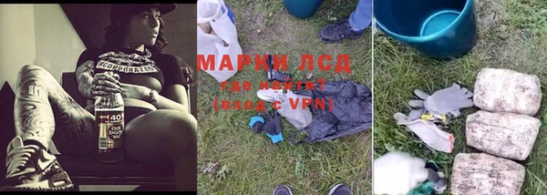 ГАЛЛЮЦИНОГЕННЫЕ ГРИБЫ Лабытнанги