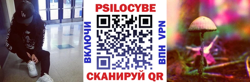 дарнет шоп  Краснокаменск  Галлюциногенные грибы прущие грибы 